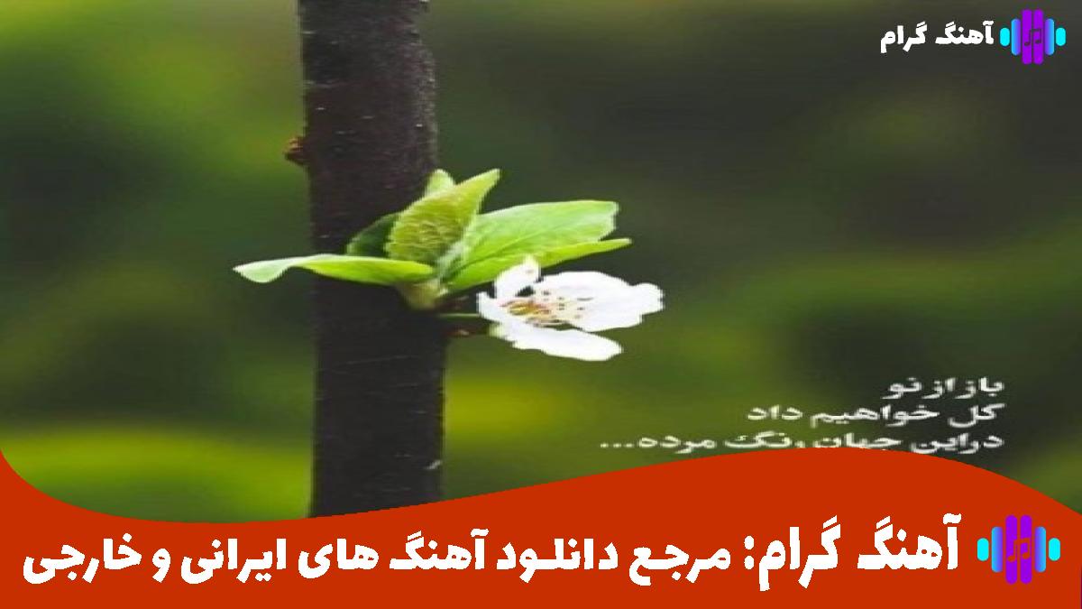 کاور آهنگ تا حالا نداشتیم از شادمهر مرتضی پاشایی و هایده
